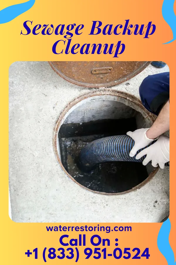 Sewage Backup Cleanup in Lakeland, GA