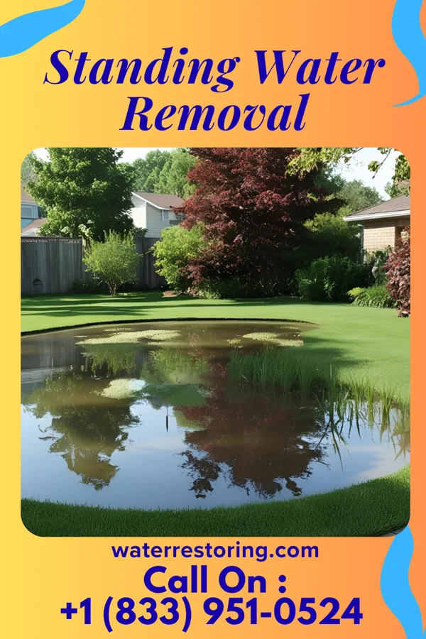 Standing Water Removal in Lakeland, GA